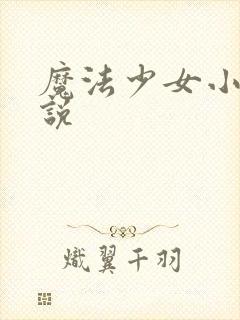 魔法少女小圆小说