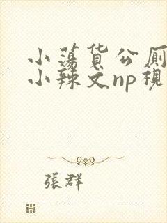 小荡货公厕h文小辣文np视频