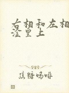 右相和左相一起淦皇上
