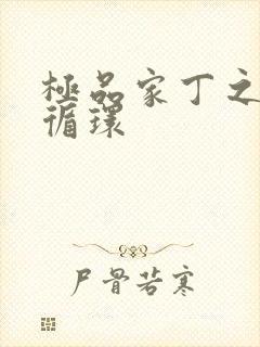 极品家丁之因果循环