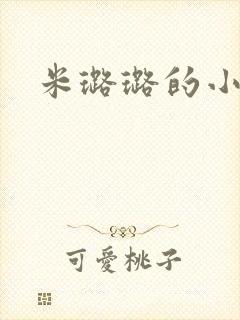 米璐璐的小说