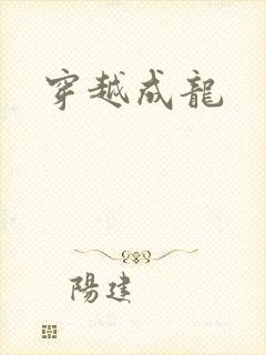 穿越成龙