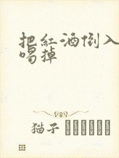 把红酒倒入b里喝掉封面