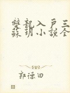 双龙入户三人行苏玥小说全文阅读