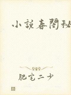 小说春闺秘史