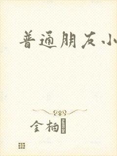 普通朋友小说