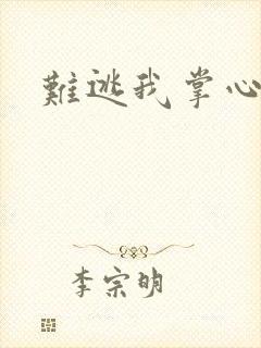 难逃我掌心封面