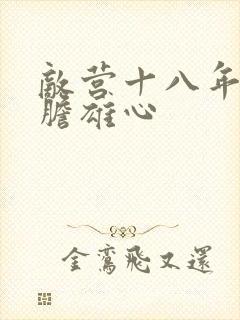 敌营十八年2虎胆雄心