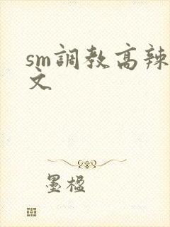 sm调教高辣h文封面