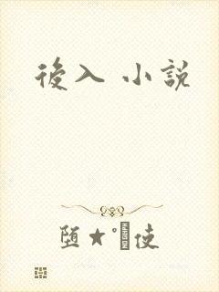 后入 小说