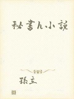 秘书h小说