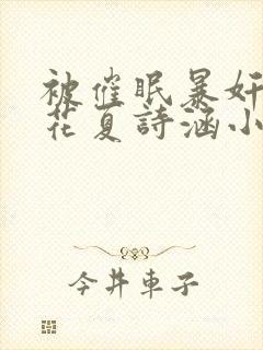 被催眠暴奸的校花夏诗涵小说