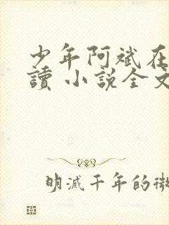 少年阿斌在线阅读 小说全文免费