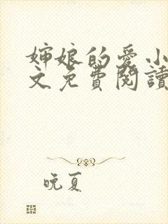 婶娘的爱小说全文免费阅读封面