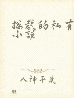 总裁的私有宝贝小说