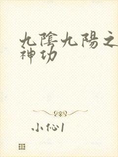 九阴九阳之阴阳神功