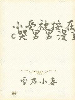 小受被按在墙上c哭男男漫画