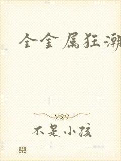 全金属狂潮小说