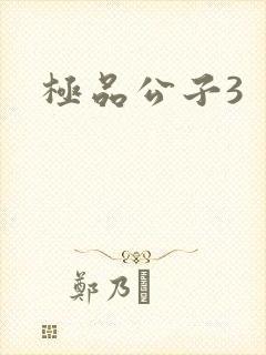 极品公子3