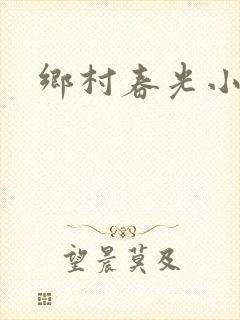 乡村春光小说