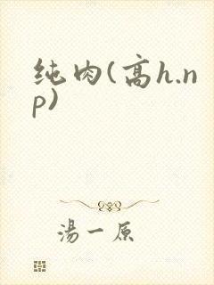纯肉(高h.np)