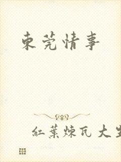 东莞情事