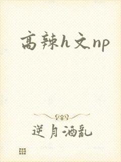 高辣h文np
