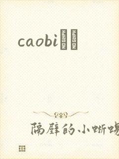 caobiС˵封面