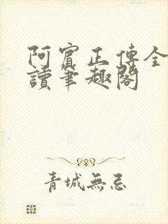 阿宾正传全文阅读笔趣阁