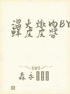 温火炖肉BY海鲜皮皮酱