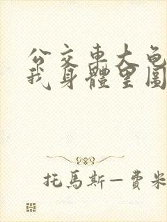 公交车大龟廷进我身体里图封面