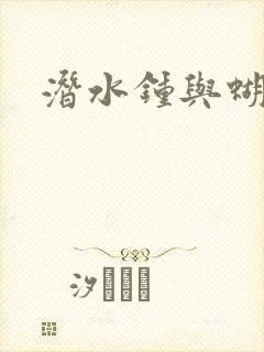 潜水钟与蝴蝶封面