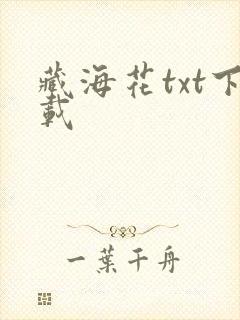 藏海花txt下载
