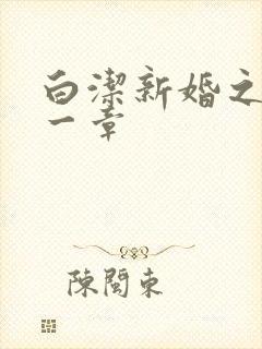 白洁新婚之夜第一章