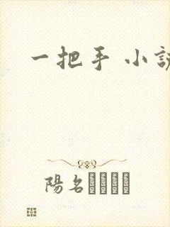 一把手 小说