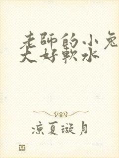 老师的小兔子好大好软水