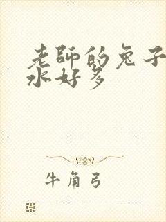 老师的兔子好软水好多封面