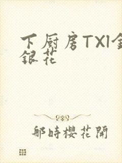 下厨房TXl金银花