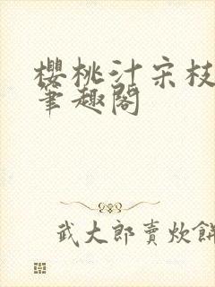 樱桃汁宋枝江野笔趣阁