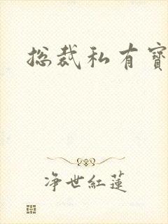 总裁私有宝贝封面