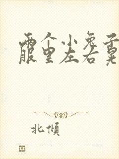 两个小兔子在衣服里左右晃封面