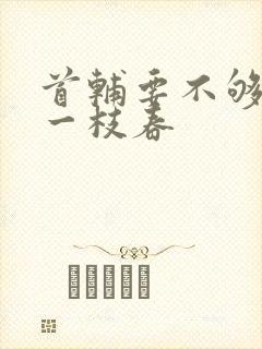 首辅要不够po一枝春