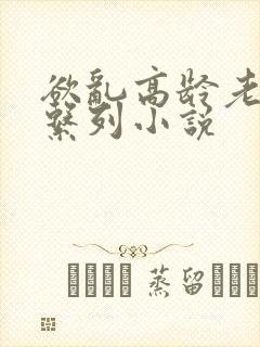 欲乱高龄老女人系列小说封面