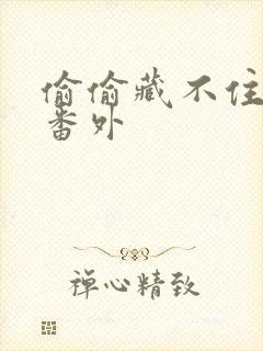 偷偷藏不住新婚番外封面