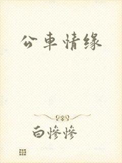 公车情缘