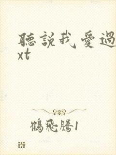 听说我爱过你txt