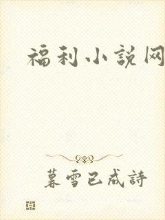 福利小说网