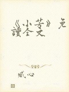 《小芳》免费阅读全文