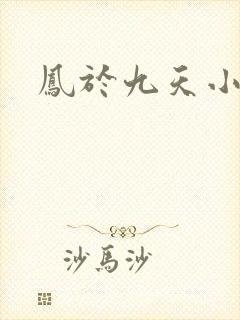 凤于九天小说