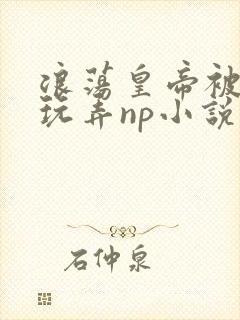 浪荡皇帝被多人玩弄np小说